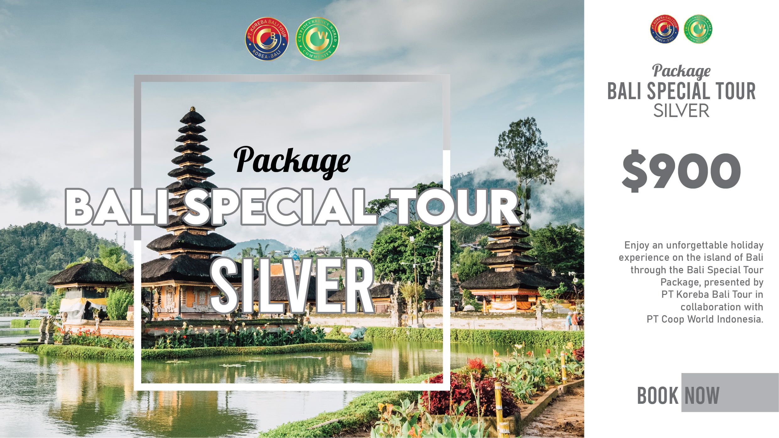 Bali Special Tour Waterbomb Silver